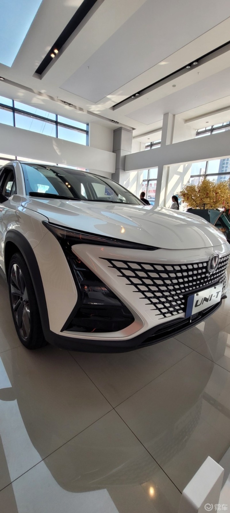 长安unit三种颜色