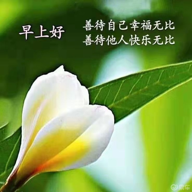 做个内心阳光的人不忧伤坚强靠近阳光成为更好的自己生活越是平淡内心