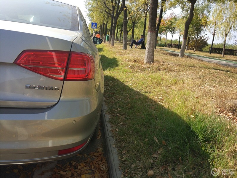 车主日记秋天到了银杏叶变黄了就可以开着车到公园郊外去看银杏叶了