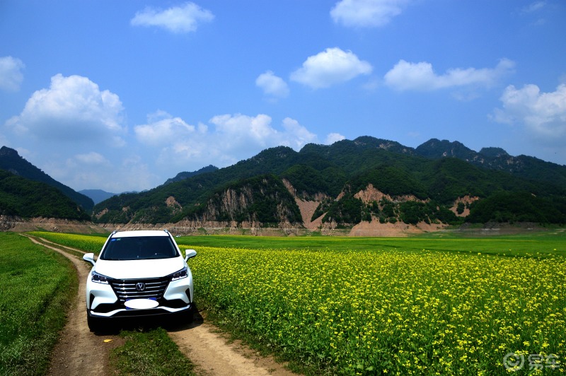 车主日记#人生就像一场旅行---丹东绿江村自驾游