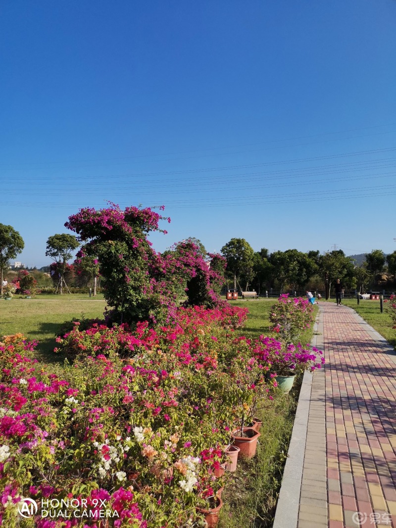 秋日美景大赏周边游玩石狮花海谷作为峡谷景观带的颜值担当花海谷公园