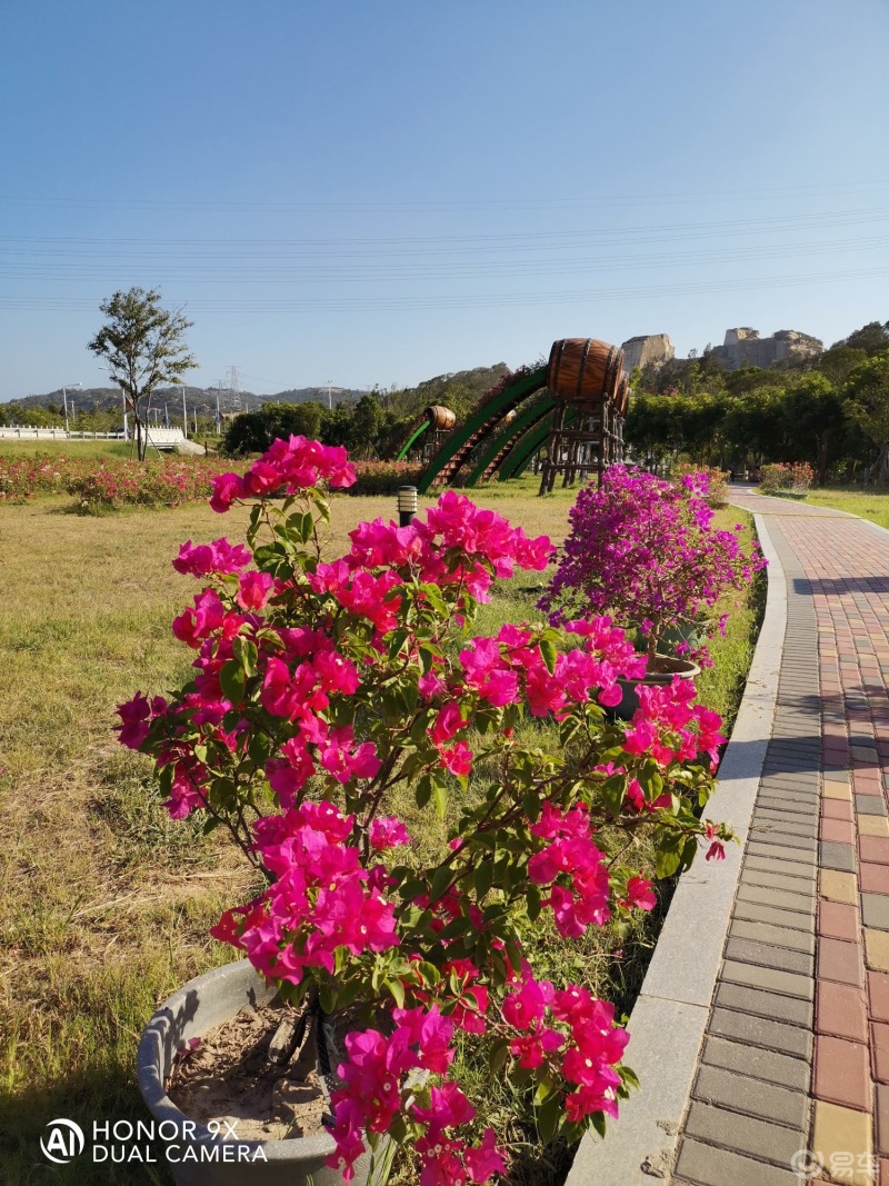 石狮美丽的花海谷公园图片