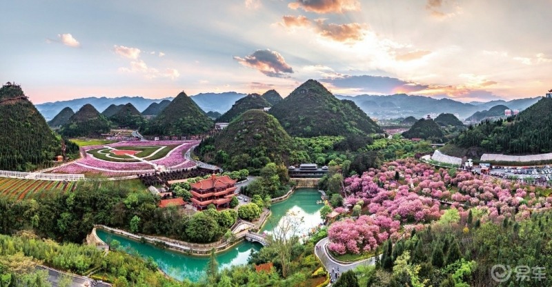 自驾打卡奇香园