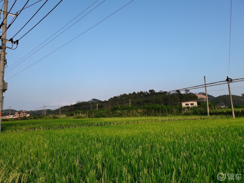 国庆假期第四天早安乡村的天空真蓝空气清新静谧闲适