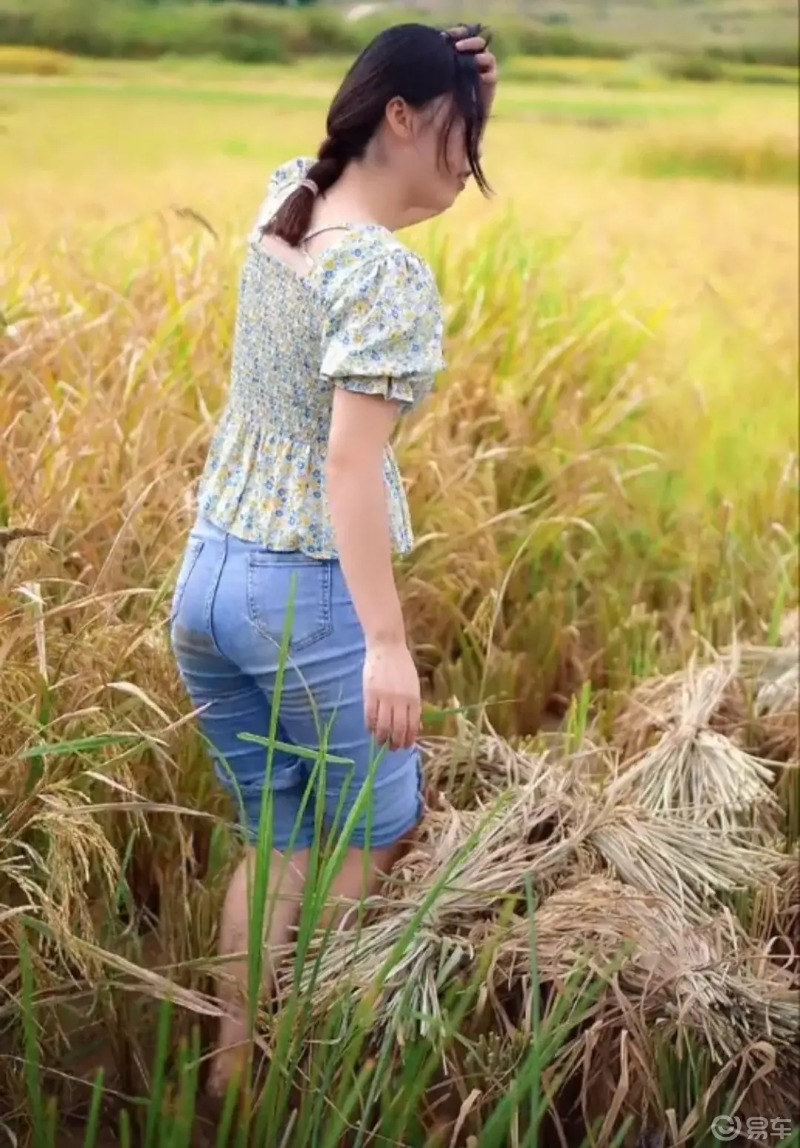 秋日#云南文山,年轻女子在家里收稻子,闲暇之余臭美拍几张照片,由于