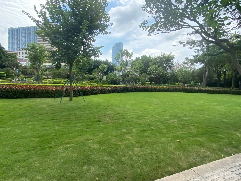 走进月港双拥公园