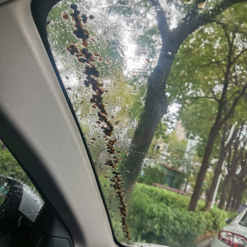 车上落了一层那个樟树的黑果子,雨刮器一刮刮了一大把,这据说会伤油漆