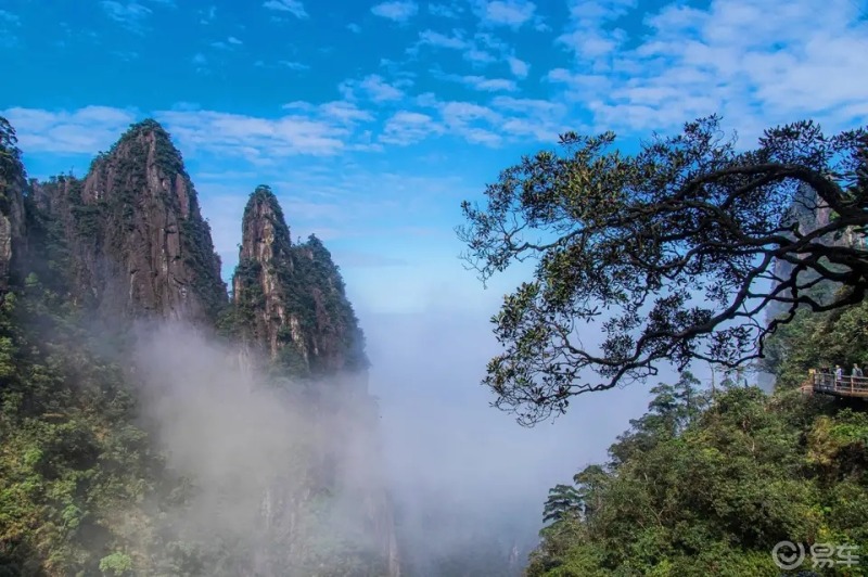 湘南郴州  莽山国家森林公园
