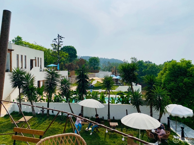 周末就是将生活调回自己喜欢的频道打卡成都网红地龙泉山等风来