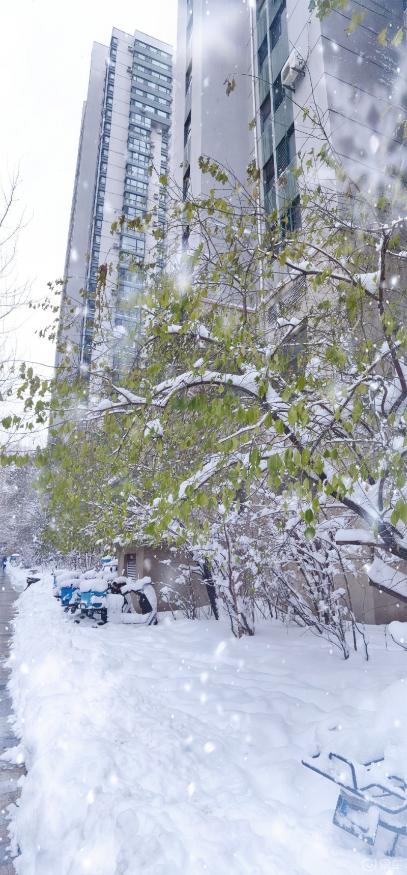 沈阳2021年的第一场雪创下了1905年有气象记录以来最高降雪量的记录!