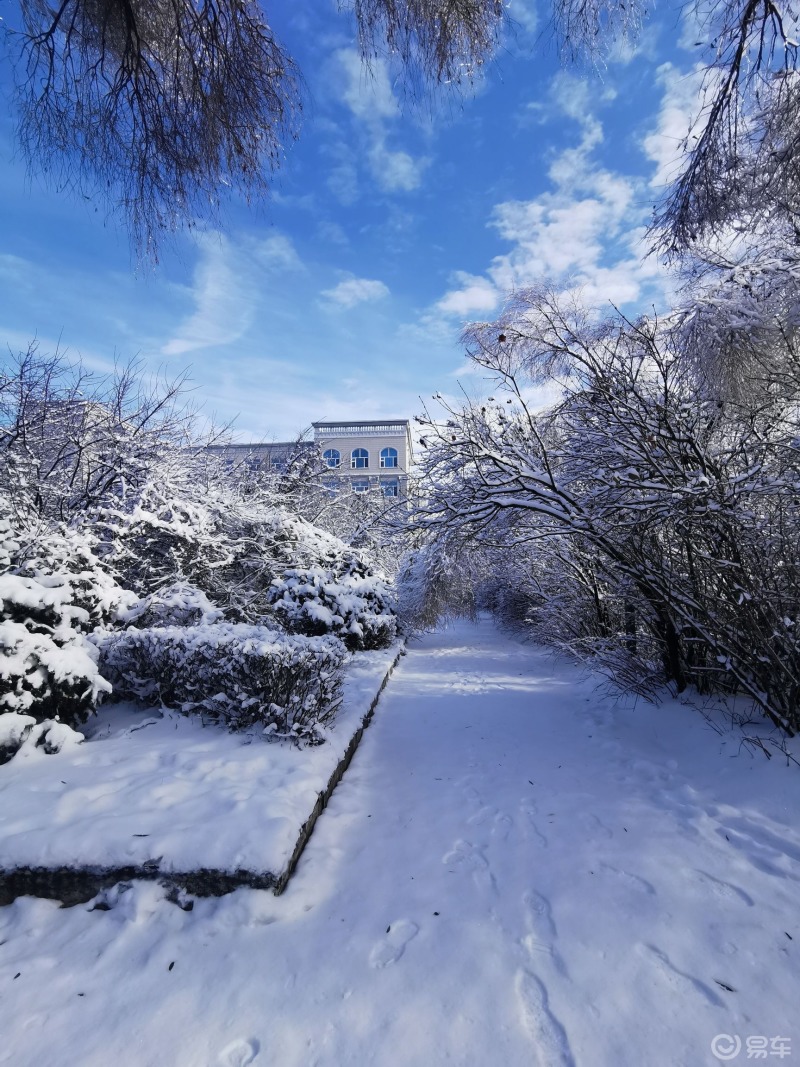 哈尔滨的雪景_黑龙江社区_易车社区