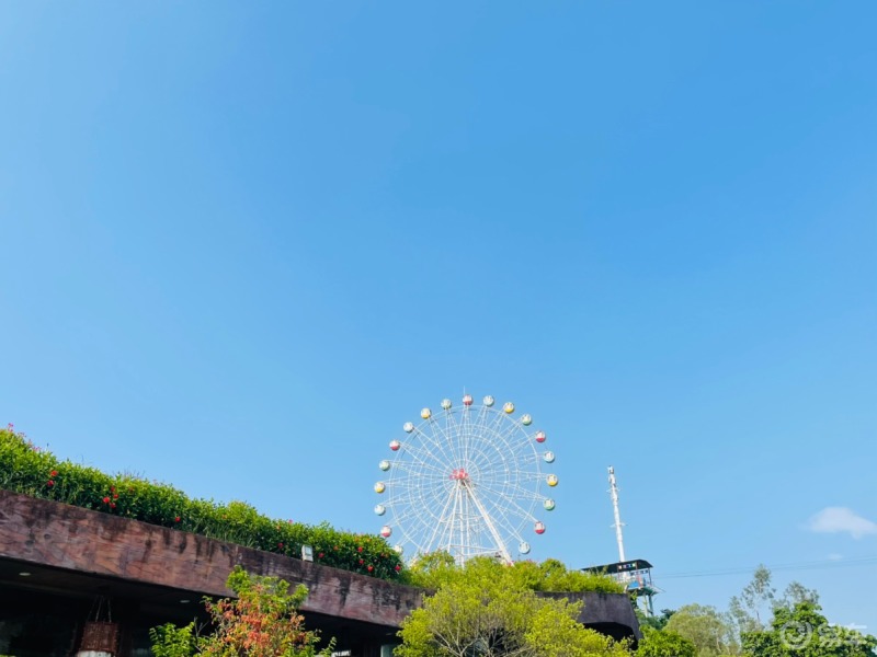 高倍車幣等你拿# 方向一:雙十一你的真實寫照,週末陽光正好,最