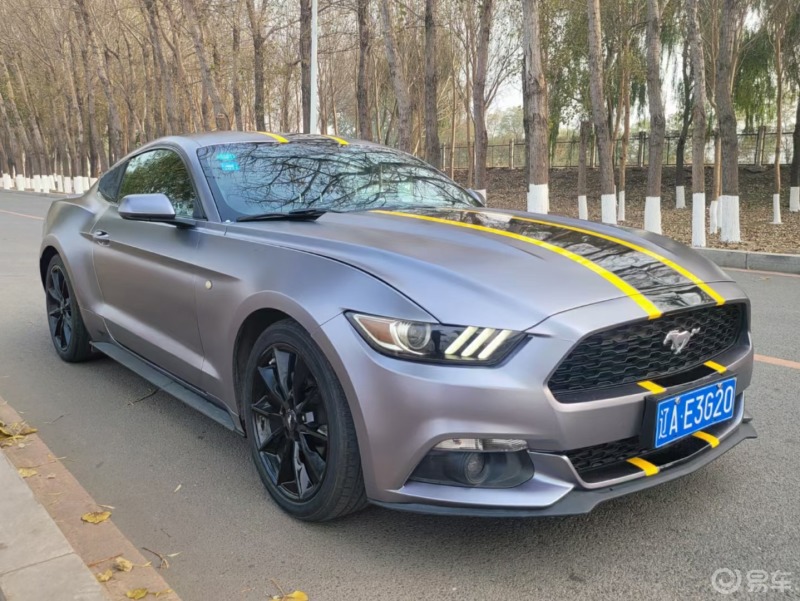 爱你真的没筹码,只是你没开小野马