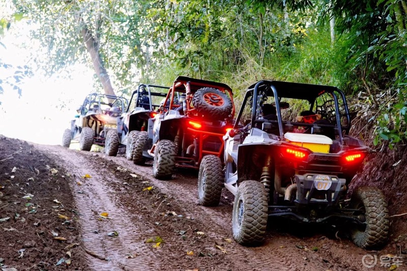 最近在西双版纳的热带从里正在上演丛林越野赛