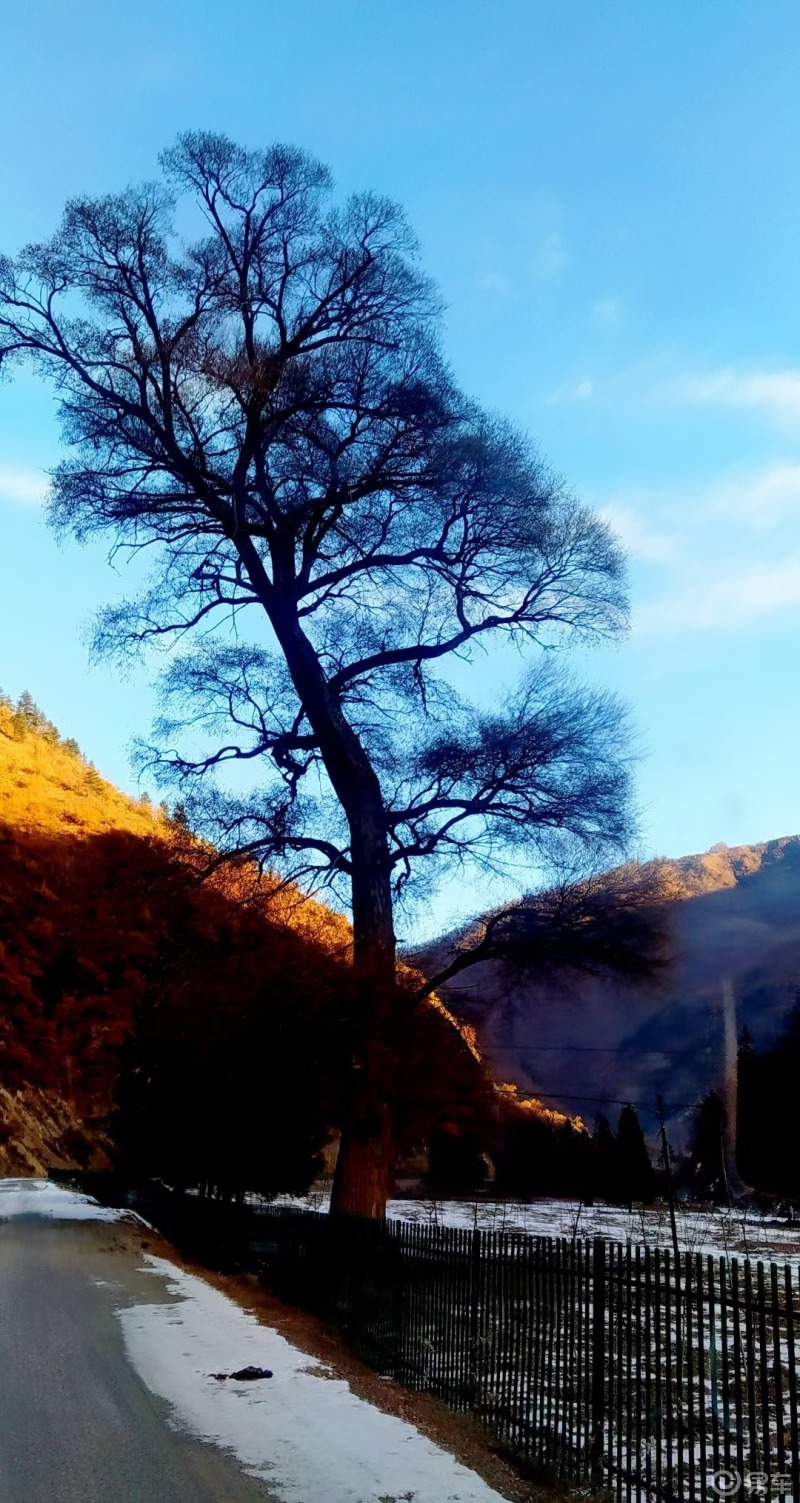 旅游摄影#迭部~措美峰秦岭迭山系"措美峰"(海拔4920米)从公路进山行 