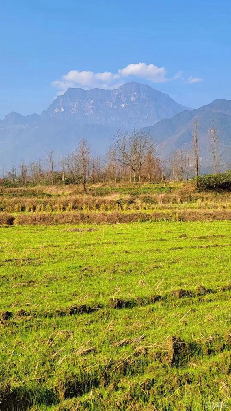 打卡峨眉山下,龙猫同款治愈系山野田园