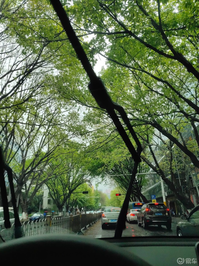 春天的颜色,嫩绿嫩绿色的,路边的树都刚刚长出了新芽,配上春雨蒙蒙
