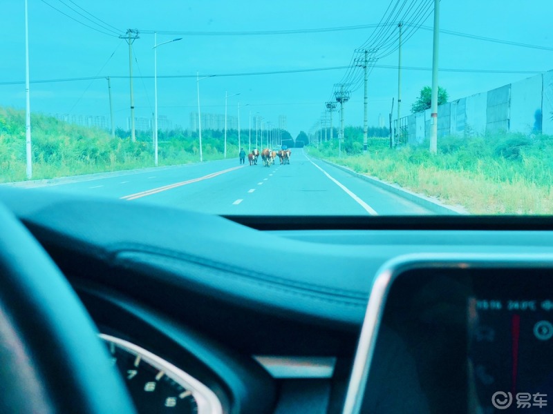 一直在路上欣賞車窗外沿途的風景