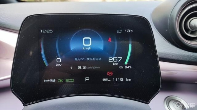 比亚迪海豚定位小型纯电动车,受成本限制,内饰用料没什么亮点,不过像