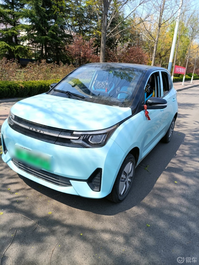 保养便宜还得雷丁芒果