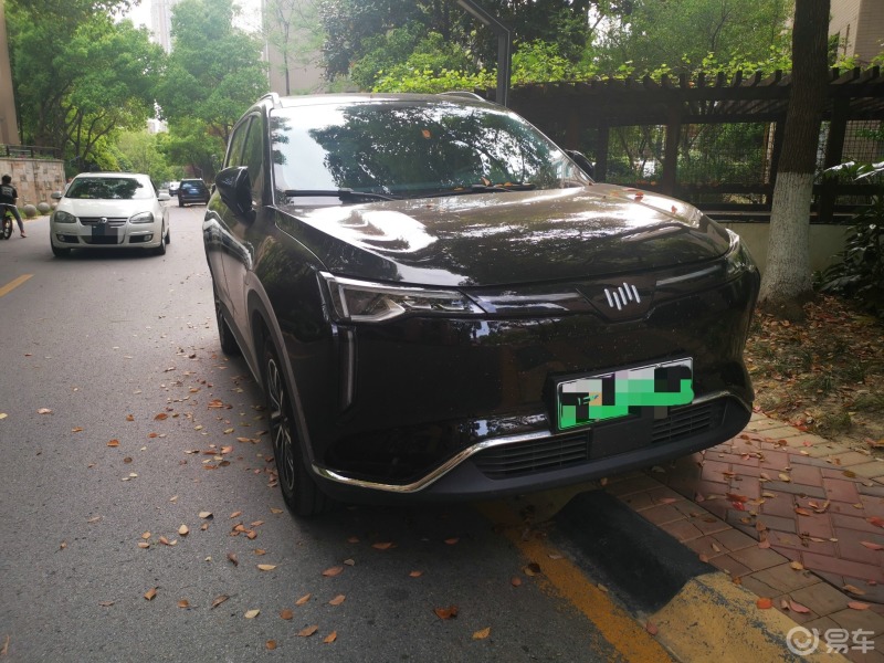 小众派里的新秀威马w6