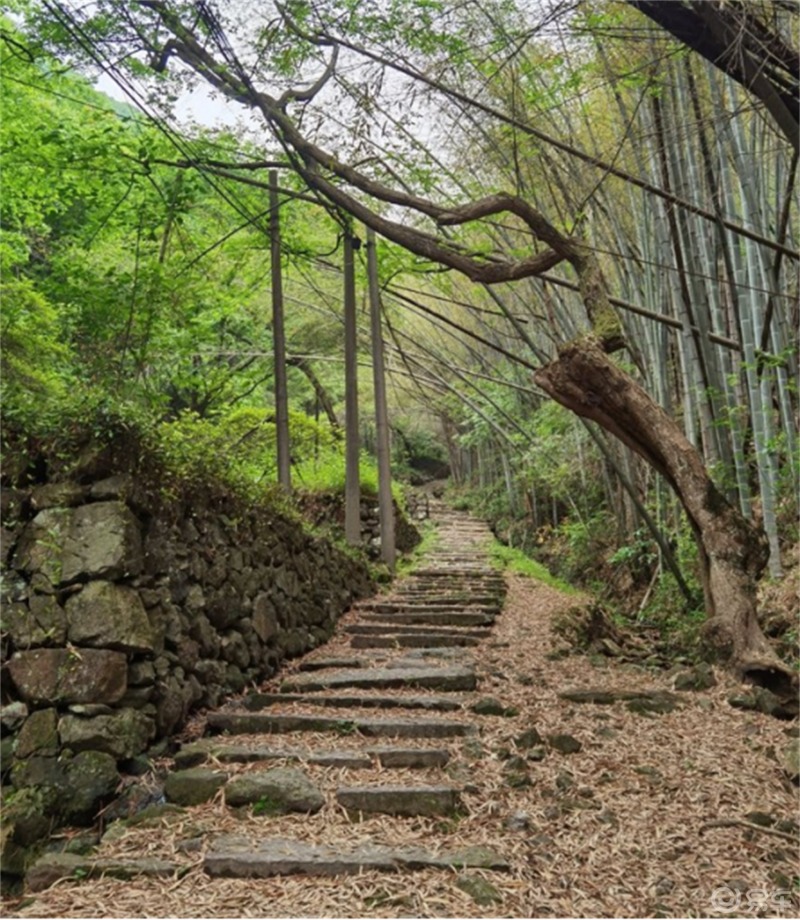 平水日铸岭古道闲庭信步