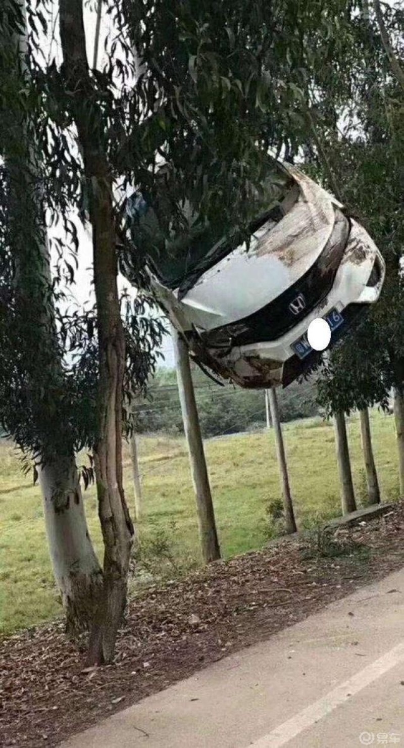 奇葩车事件,这位飞度车主怎样的神操作才能把飞度开到树上的!
