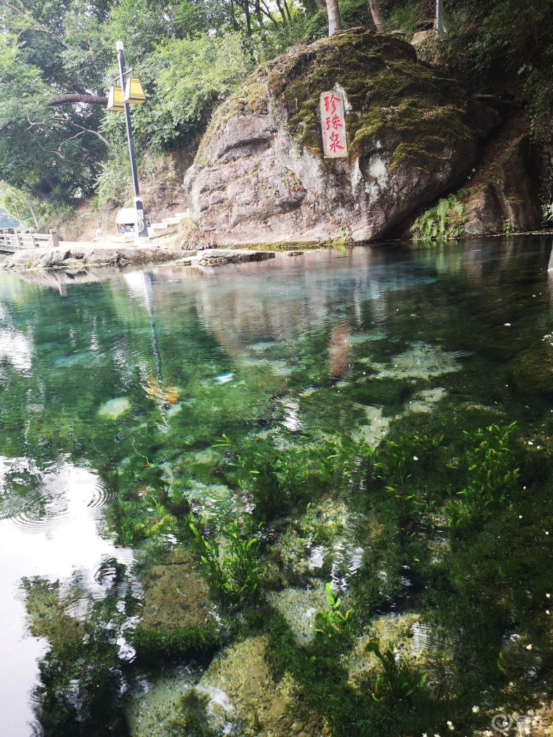南京的珍珠泉,湖水清彻见底,微波碧绿,泉水中冒出来的一串串泡泡,就象