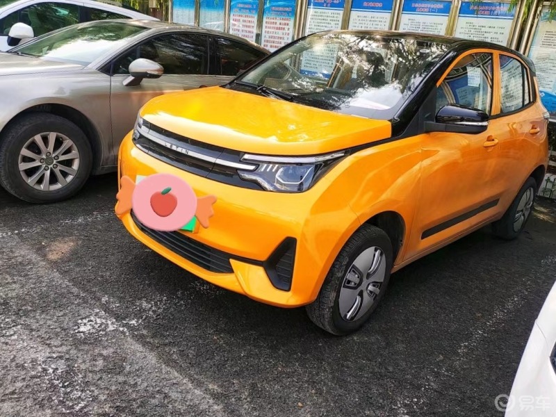 新能源之雷丁芒果