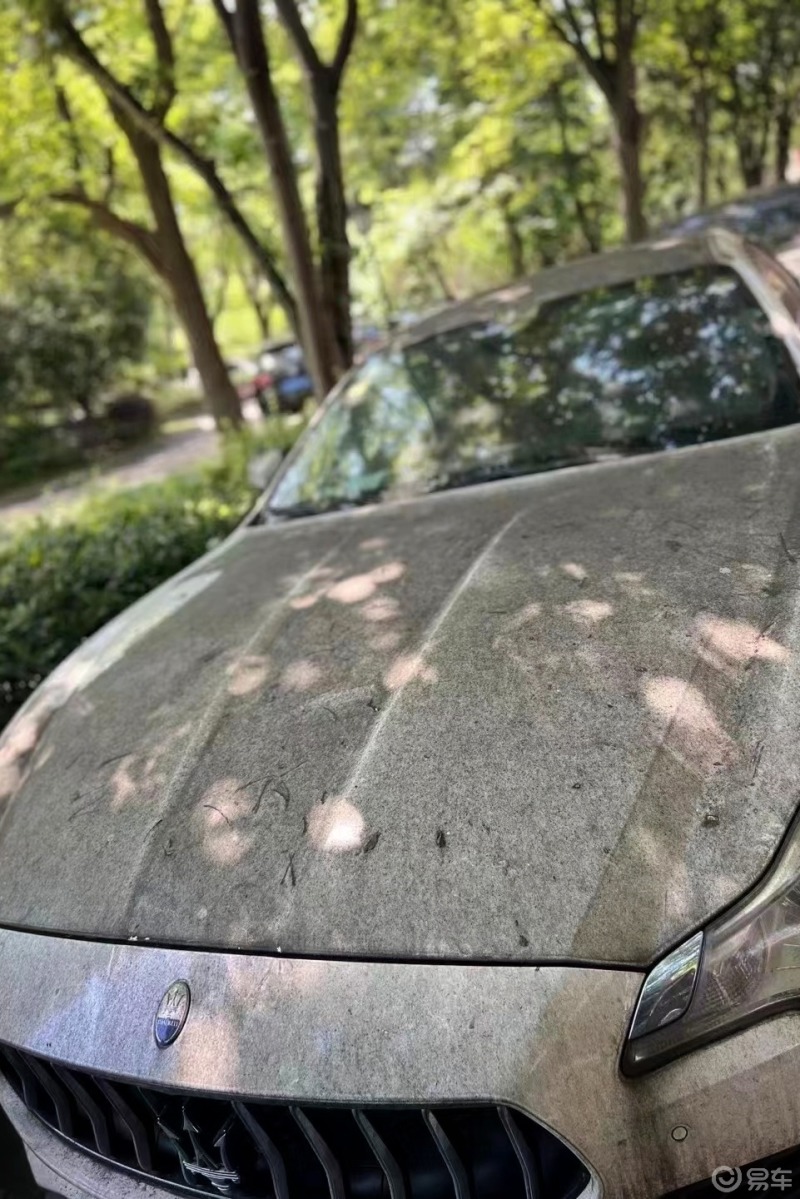 疫情原因两个月没有办法开车,解封后发现车上都是鸟屎和树胶,挡风玻璃