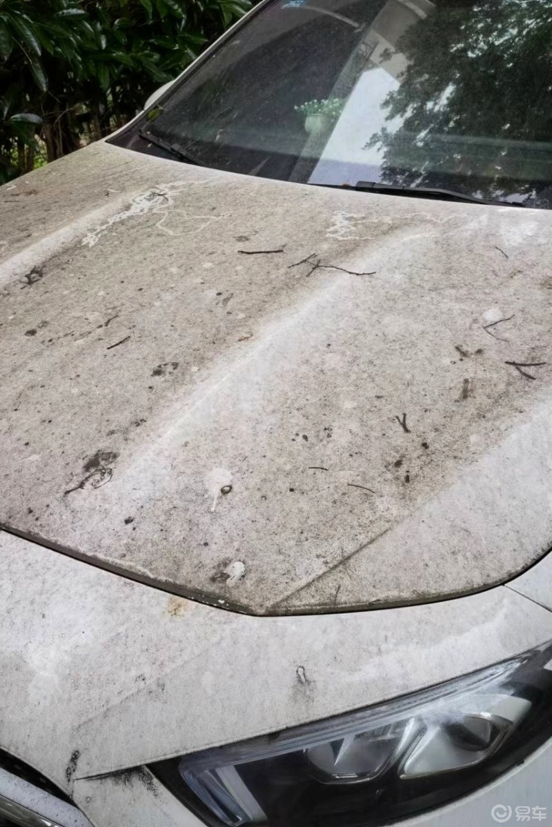 疫情原因两个月没有办法开车,解封后发现车上都是鸟屎和树胶,挡风玻璃