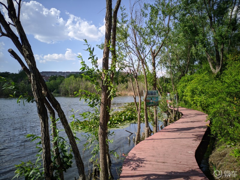 携星辰再游虞河湿地公园