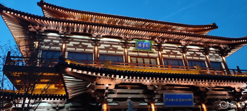 周末夜游兴庆宫