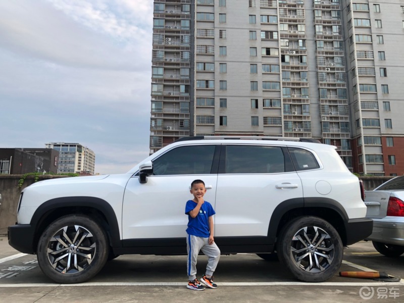 阳光下的哈弗大狗,白色好看.