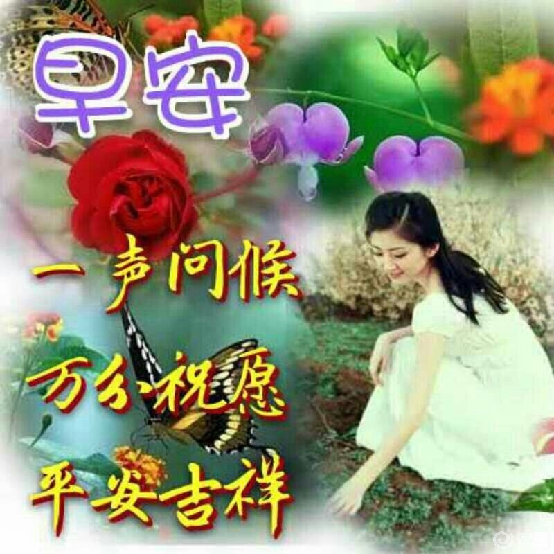 每日一词