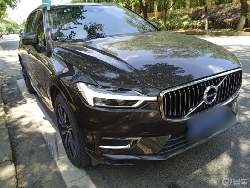 沃沃一眼见到它的美,你就会过目不忘!