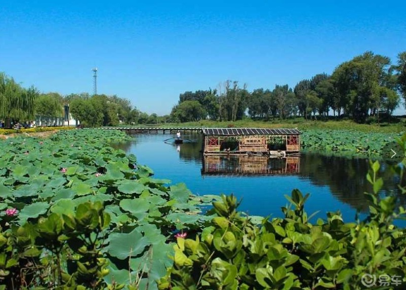 夏天的好去處,明銳自駕白洋淀_河北社區_易車社區