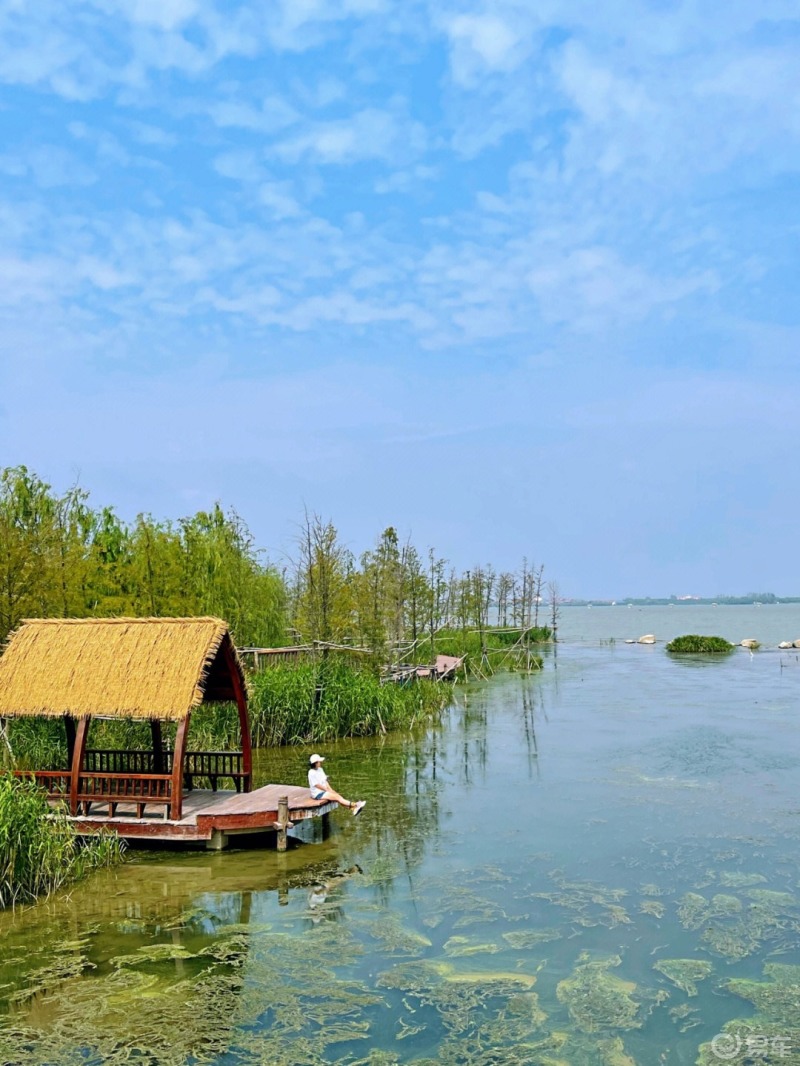 国庆赏秋,易起出发#美丽的元荡湖