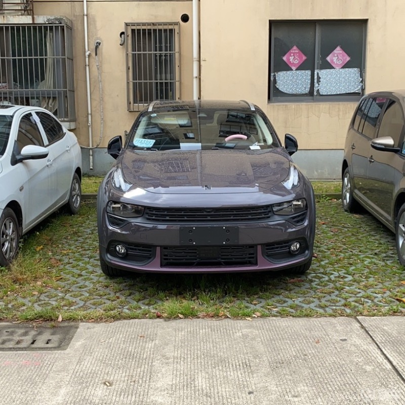 我的小葡萄领克02能量紫2.0t90