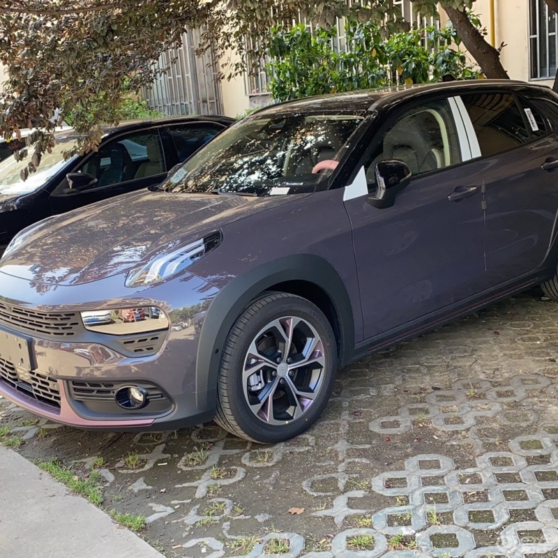 我的小葡萄领克02能量紫2.0t90