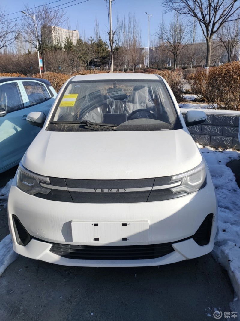 雷丁芒果-a00级新能源小车的新秀0369