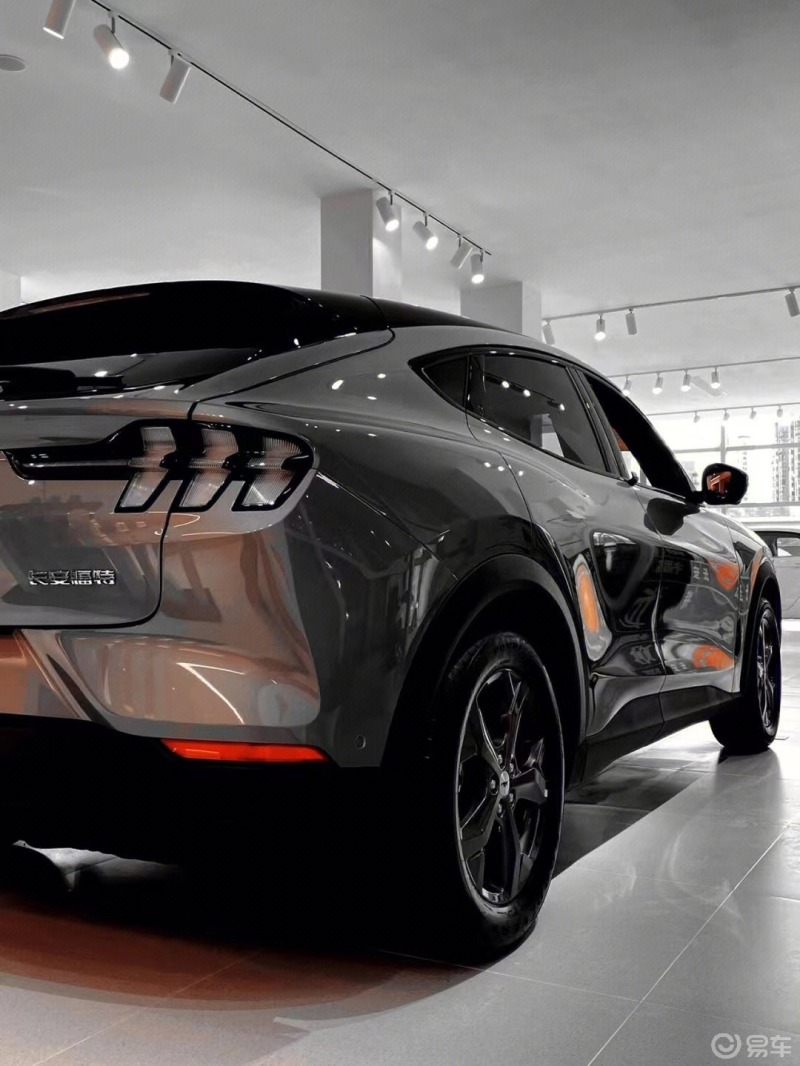 32万种草大电马子,爱了爱了9907_福特equator社区_易车社区