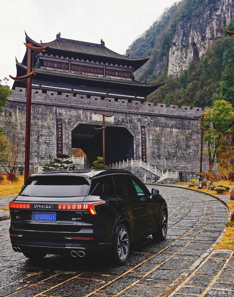 仿生蚂蚁92—领克09em-p999999