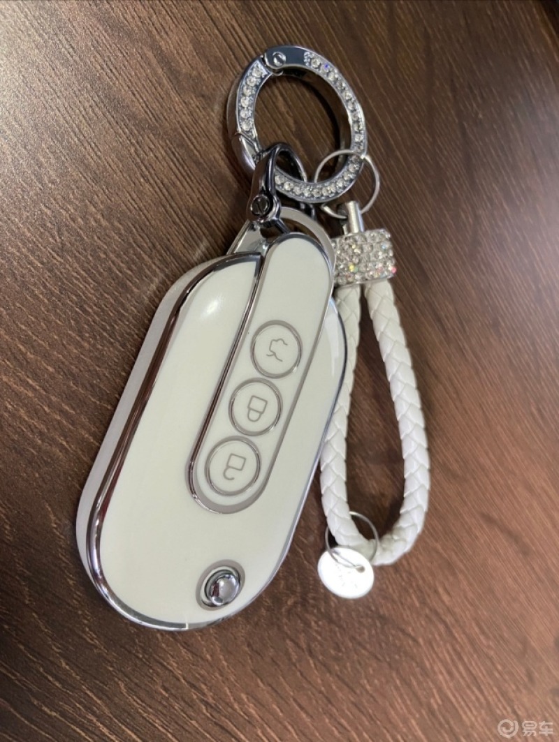 十几的五菱宏光mini钥匙套!辣鸡!