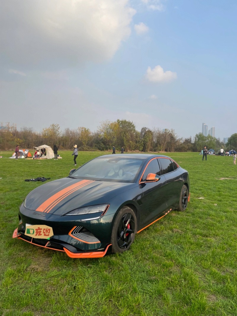 千山豹 比亚迪海豹改色千山翠000000