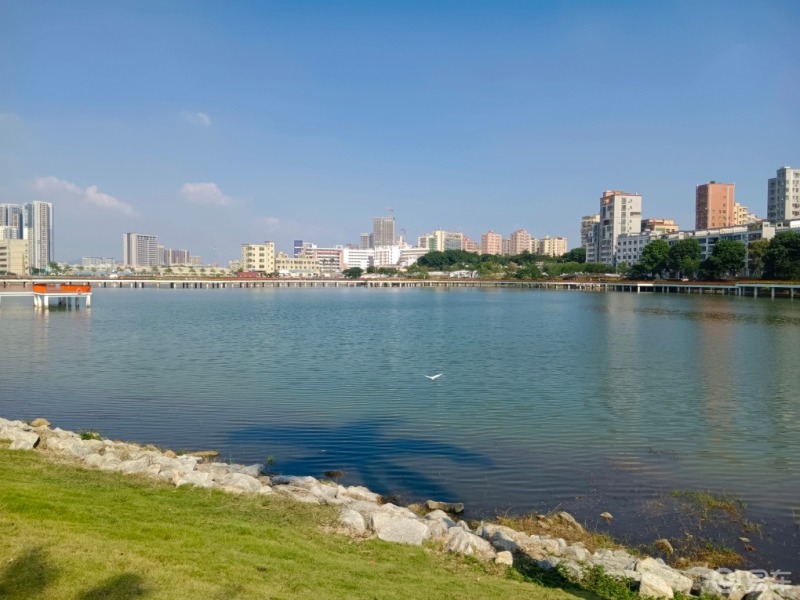 自驾游玩光明石围公园.97