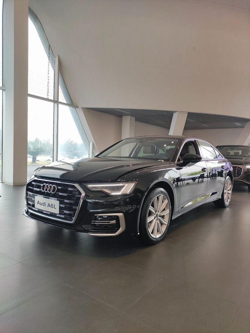 23款奥迪a6l 45两驱臻选动感南方版