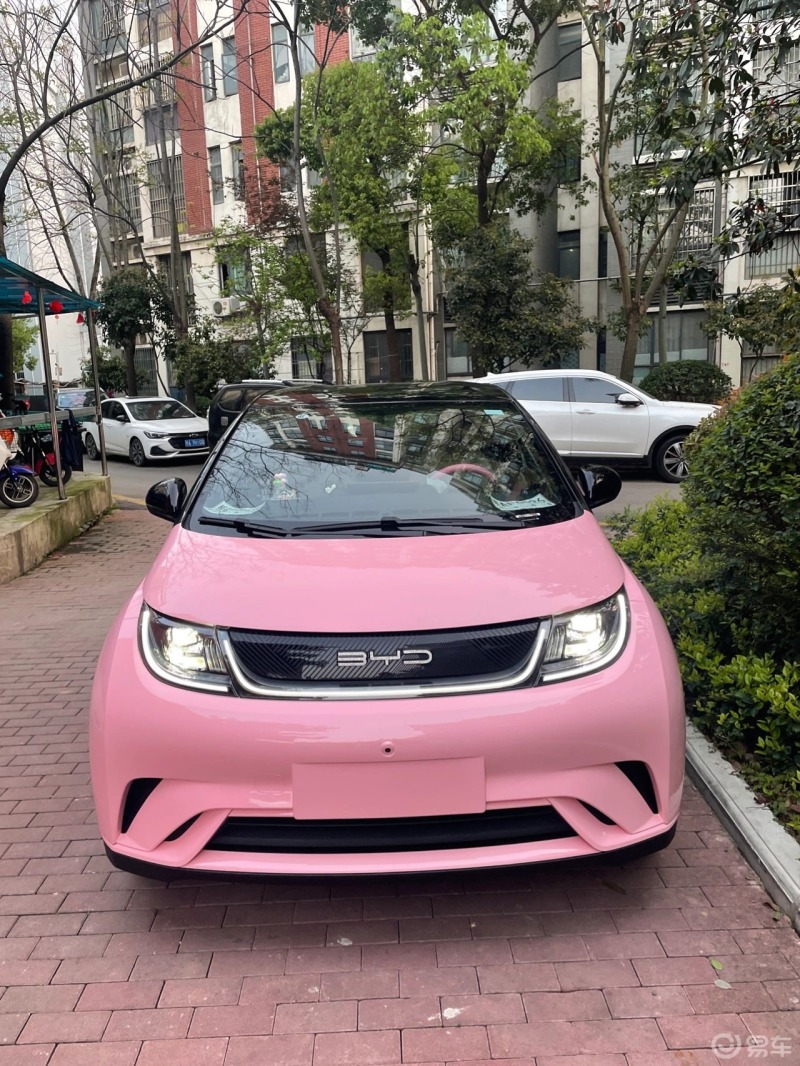 海豚改色猛男粉