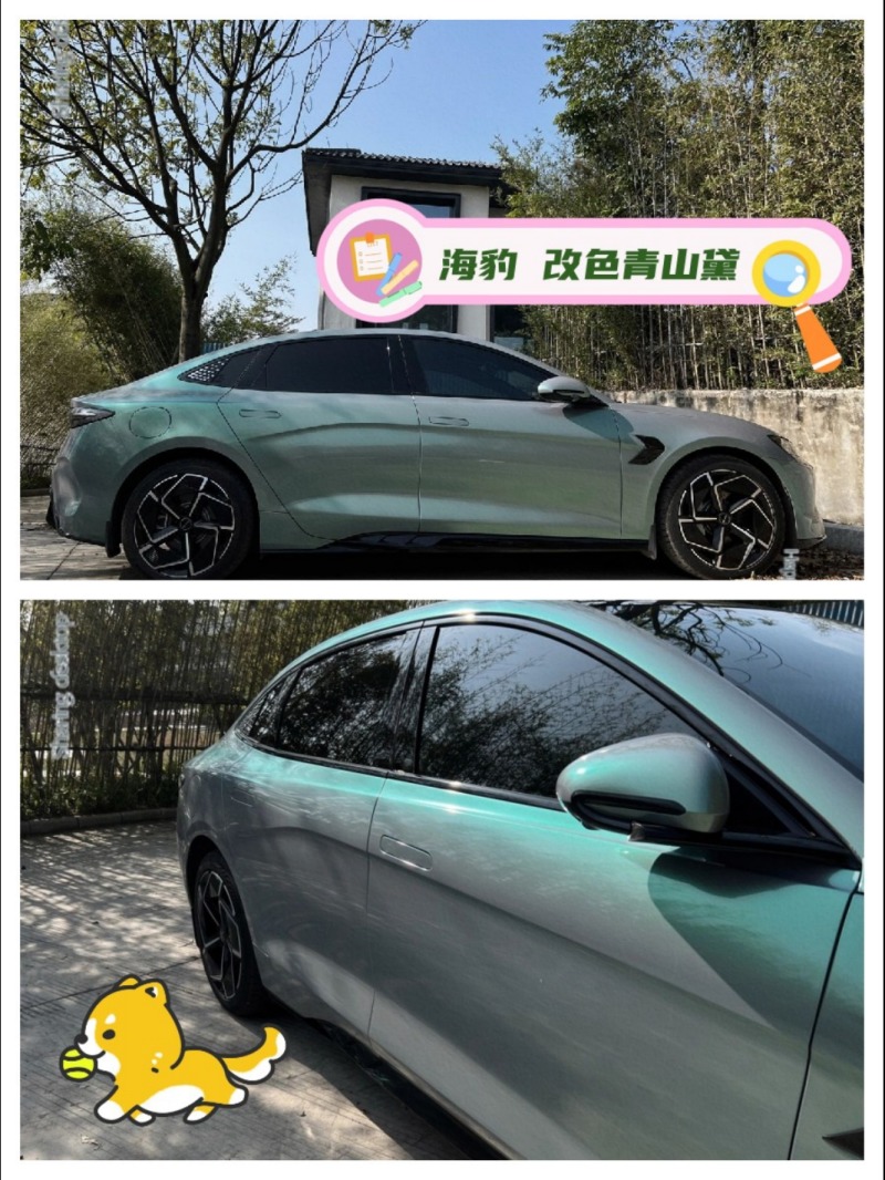 海豹 改色青山黛