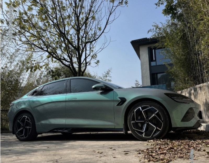 海豹 改色青山黛